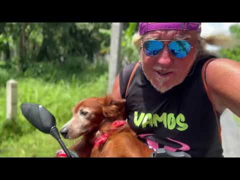 Tarzán · Ride to training